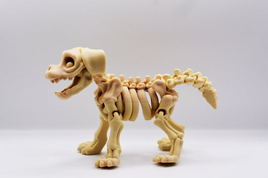 Skeleton Beagle