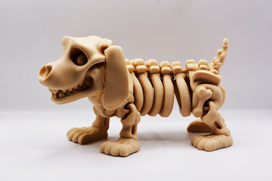 Skeleton Dachshund